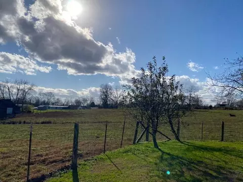 860 Floyd Switch Rd, Eubank, KY 42567 photo 33