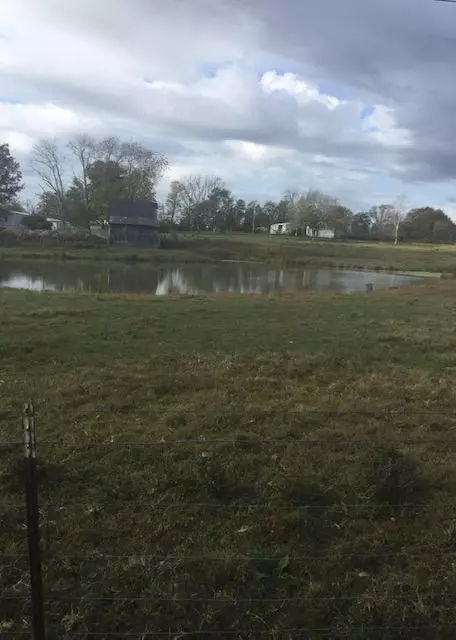 860 Floyd Switch Rd, Eubank, KY 42567 photo 3