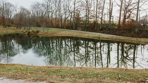 97 King Ln, Nancy, KY 42544 photo 19