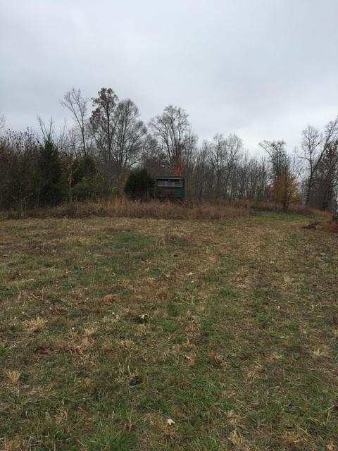 1280 Daws Ridge Rd, Nancy, KY 42544 photo 5