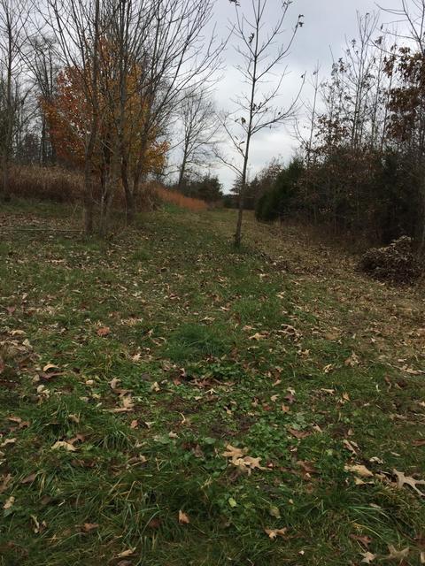 1280 Daws Ridge Rd, Nancy, KY 42544 photo 2