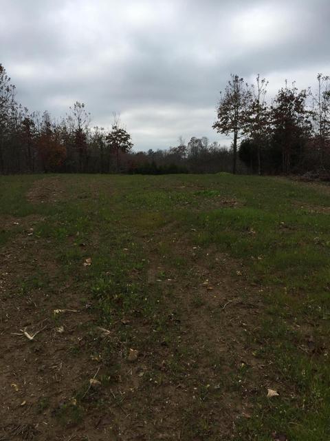 1280 Daws Ridge Rd, Nancy, KY 42544 photo 6