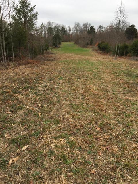 1280 Daws Ridge Rd, Nancy, KY 42544 photo 4