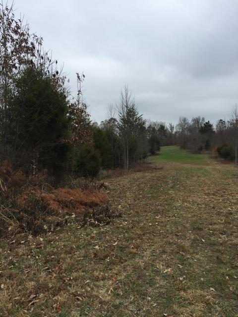 1280 Daws Ridge Rd, Nancy, KY 42544 photo 3