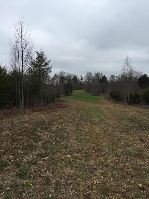 1280 Daws Ridge Rd, Nancy, KY 42544 photo 8
