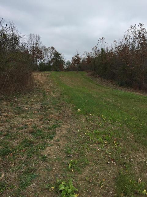 1280 Daws Ridge Rd, Nancy, KY 42544 photo 7
