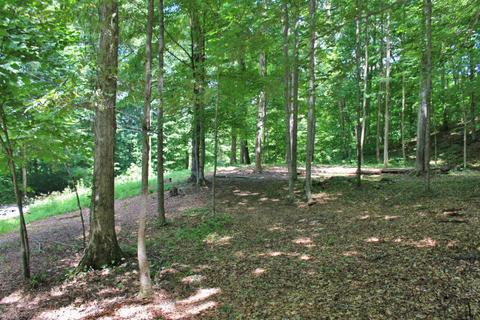 467 Harmony Ln, Burnside, KY 42519 photo 3