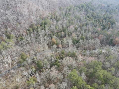 551 Porter Creek Rd, Nancy, KY 42544 photo 12