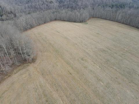 551 Porter Creek Rd, Nancy, KY 42544 photo 35