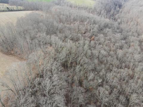 551 Porter Creek Rd, Nancy, KY 42544 photo 31