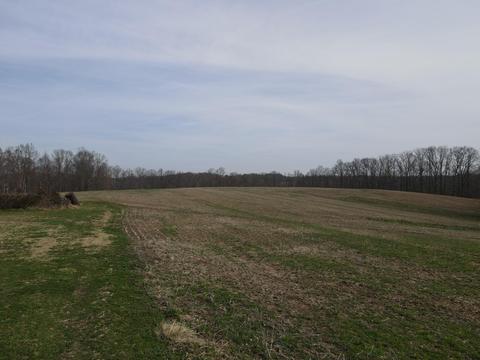 551 Porter Creek Rd, Nancy, KY 42544 photo 36