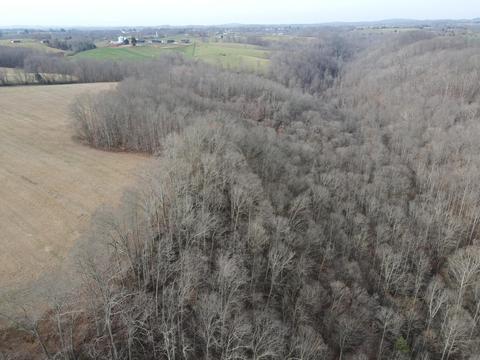 551 Porter Creek Rd, Nancy, KY 42544 photo 26