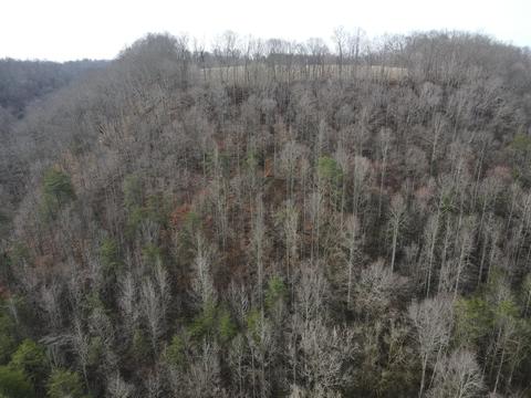 551 Porter Creek Rd, Nancy, KY 42544 photo 24