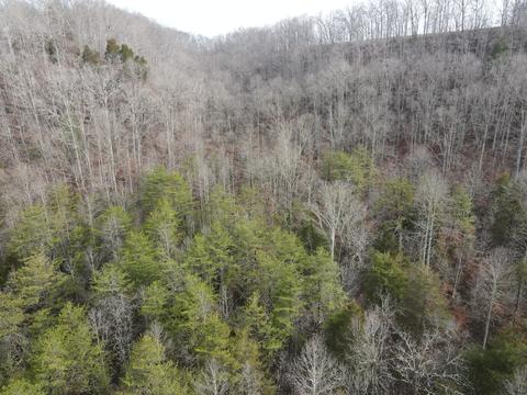 551 Porter Creek Rd, Nancy, KY 42544 photo 19