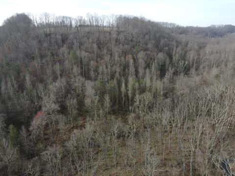 551 Porter Creek Rd, Nancy, KY 42544 photo 16