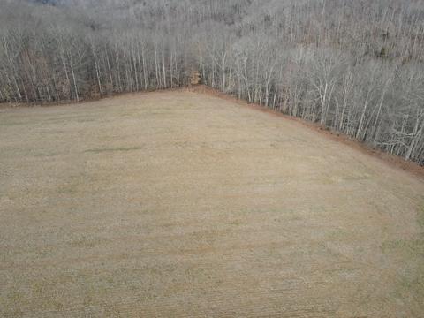 551 Porter Creek Rd, Nancy, KY 42544 photo 11