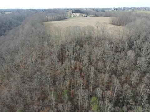551 Porter Creek Rd, Nancy, KY 42544 photo 14