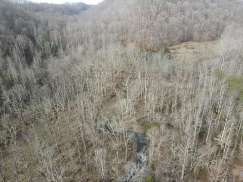 551 Porter Creek Rd, Nancy, KY 42544 photo 15