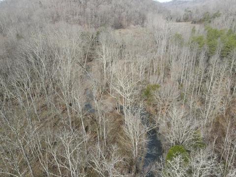 551 Porter Creek Rd, Nancy, KY 42544 photo 21