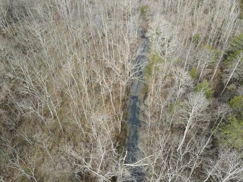 551 Porter Creek Rd, Nancy, KY 42544 photo 23