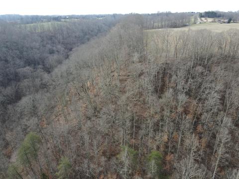 551 Porter Creek Rd, Nancy, KY 42544 photo 13