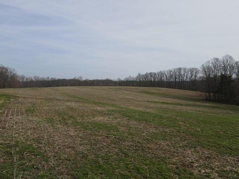 551 Porter Creek Rd, Nancy, KY 42544 photo 43