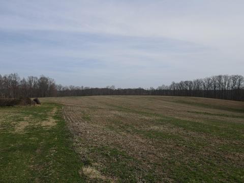 551 Porter Creek Rd, Nancy, KY 42544 photo 37