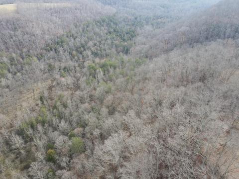 551 Porter Creek Rd, Nancy, KY 42544 photo 30