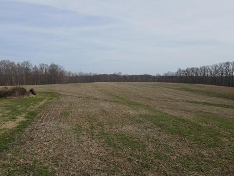 551 Porter Creek Rd, Nancy, KY 42544 photo 45