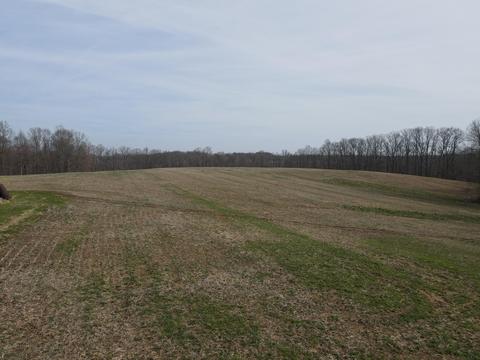 551 Porter Creek Rd, Nancy, KY 42544 photo 2