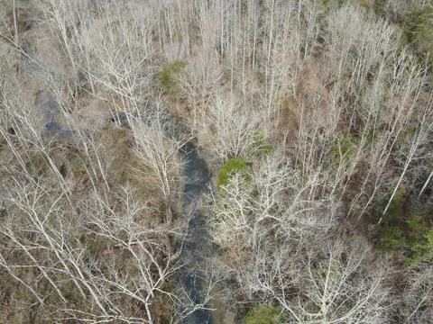 551 Porter Creek Rd, Nancy, KY 42544 photo 20