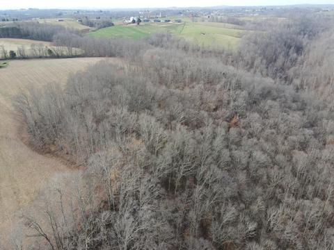 551 Porter Creek Rd, Nancy, KY 42544 photo 27