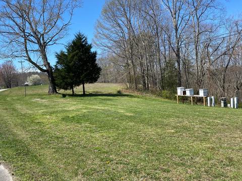 2385 Blue John Rd, Burnside, KY 42519 photo 14