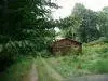 470 Rock Fork Rd, Morehead, KY 40351 photo 7