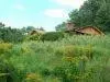 470 Rock Fork Rd, Morehead, KY 40351 photo 8