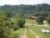 470 Rock Fork Rd, Morehead, KY 40351 photo 9
