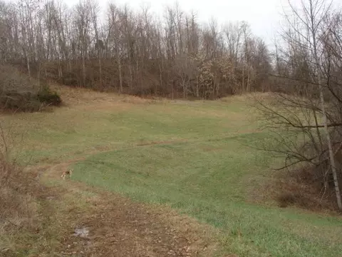 995 Williams Br, Morehead, KY 40351 photo 13