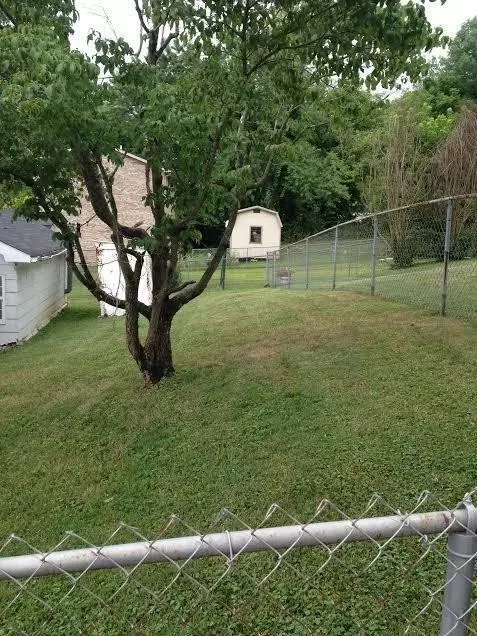141 Center St, Morehead, KY 40351 photo 5