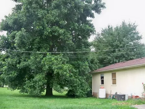 106 Johnson, Berea, KY 40403 photo 10