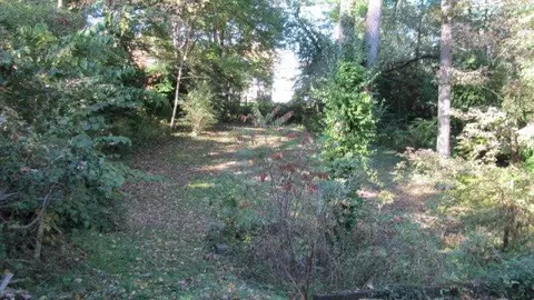307 Jackson St, Berea, KY 40403 photo 5