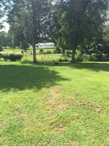 49 Bratcher Ln, Berea, KY 40403 photo 12