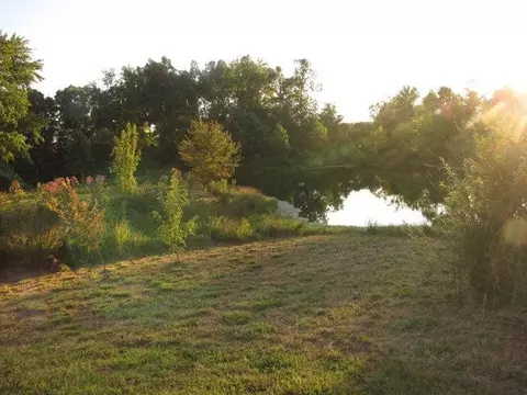170 Bybee Loop, Waco, KY 40385 photo 7
