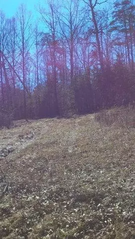 1722 Gabbard Rd, Berea, KY 40403 photo 3