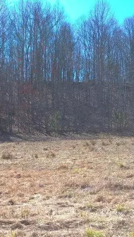 1722 Gabbard Rd, Berea, KY 40403 photo 6