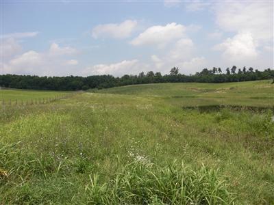 100 Coal Ridge Ln, Georgetown, KY 40324 photo 1