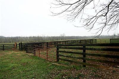 1643 Cincinnati Rd, Georgetown, KY 40324 photo 16