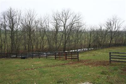1643 Cincinnati Rd, Georgetown, KY 40324 photo 3
