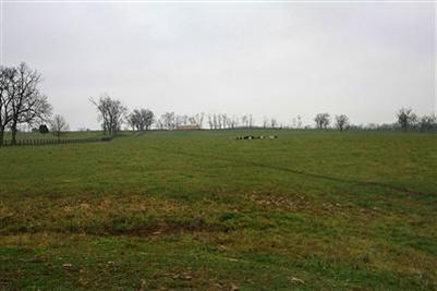 1643 Cincinnati Rd, Georgetown, KY 40324 photo 6