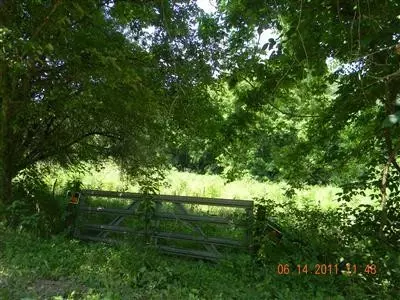 612 New Found Rd, Oneida, KY 40972 photo 13