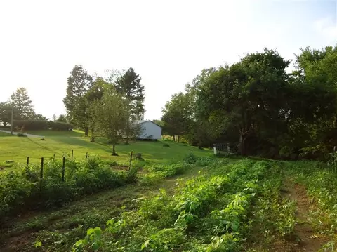 627 Level Green Rd, Corbin, KY 40701 photo 3
